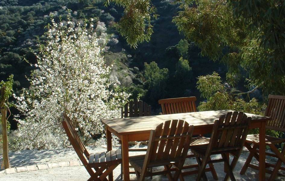 Alfresco-Dining-La-Paz