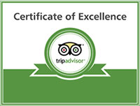 tripadvisor badge